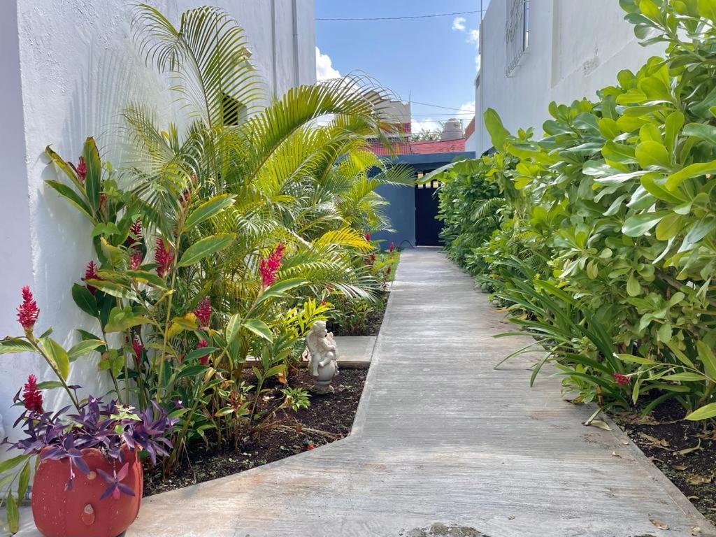 Aldeazul By Andiani Travel Lejlighed Cancún Eksteriør billede